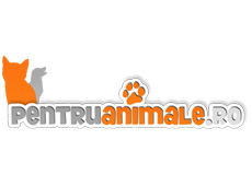 Clientele britanice sunt dezamăgite de experiența de cumpărături online